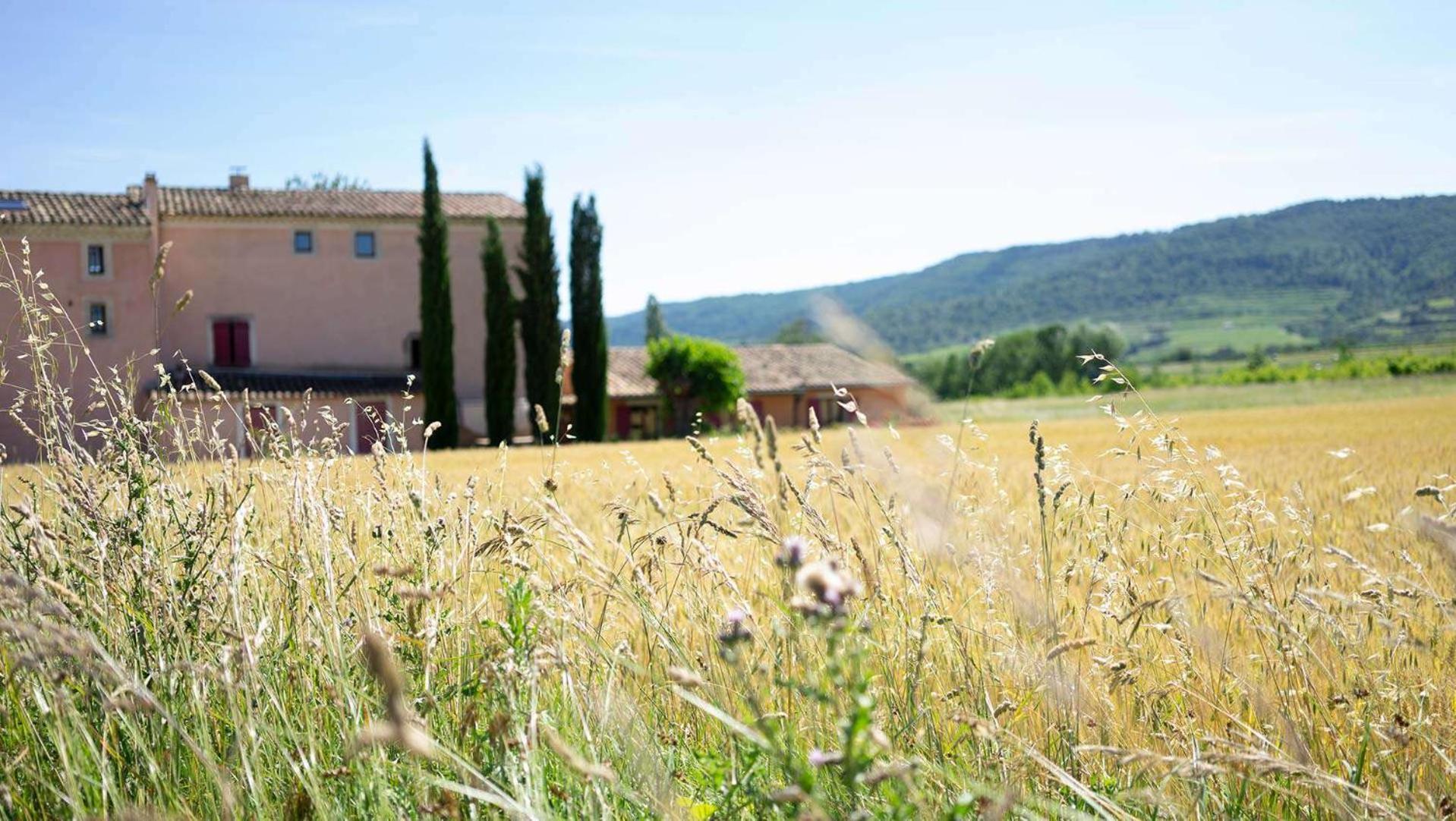 Chambres D'Hotes, B&B La Musardiere Alba-la-Romaine Экстерьер фото