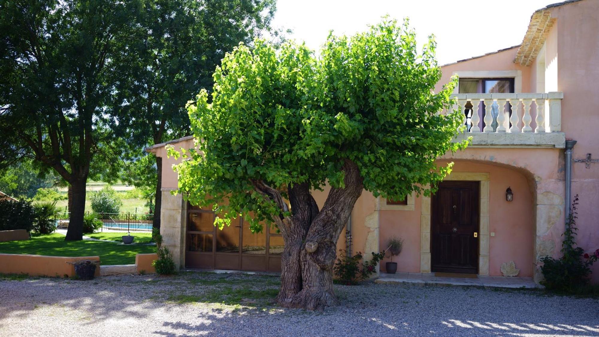 Chambres D'Hotes, B&B La Musardiere Alba-la-Romaine Экстерьер фото